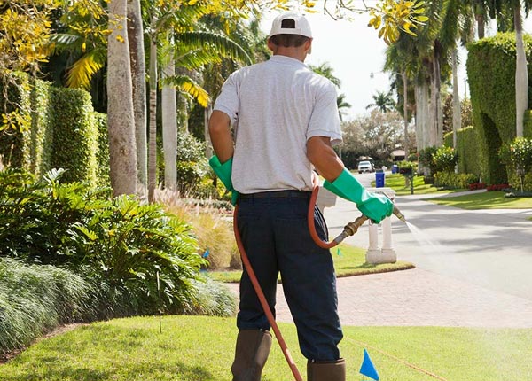 About Clayton Lake ME Pest Control Pros